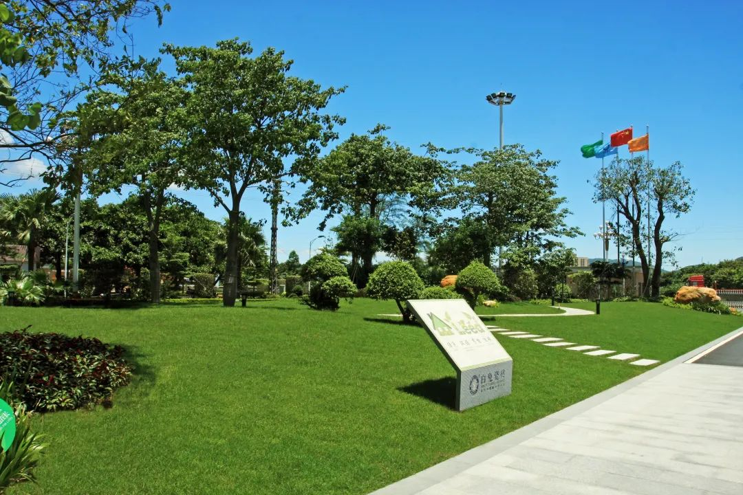 8a4bbcc04b08e083334128329ccd2ad8.png